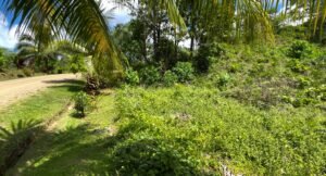 Property For Sale in Ojochal Costa Rica