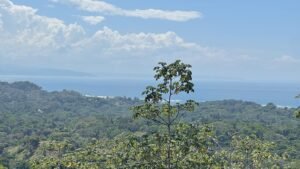 5498 – Ojochal Land Phase 10 Lot C13_01