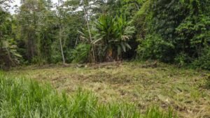 Property For Sale in Ojochal Costa Rica
