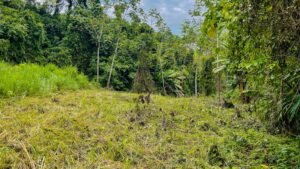 Property For Sale in Ojochal Costa Rica
