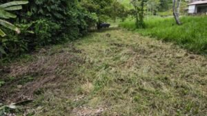 Property For Sale in Ojochal Costa Rica