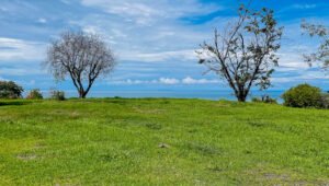 Property For Sale in Ojochal Costa Rica