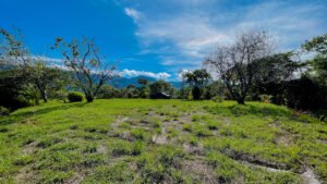 Property For Sale in Ojochal Costa Rica