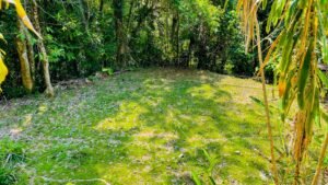 House for sale in Uvita Costa Rica