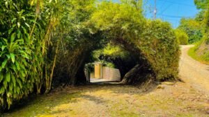 House for sale in Uvita Costa Rica