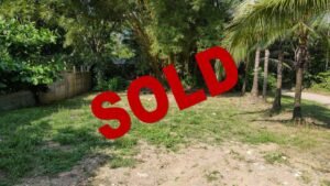 9ec318fb-2ad2-4c61-846e-8687c5ec5568