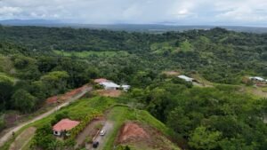 DJI_20240607122031_0813_D