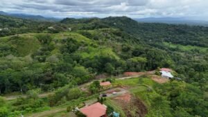 DJI_20240607122052_0815_D