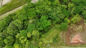 DJI_20240607122310_0824_D