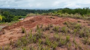 DJI_20240607122446_0829_D