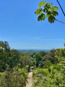 Dan Lancinger Oceanview Property Ojochal 10