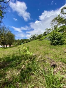 Dan Lancinger Oceanview Property Ojochal 15