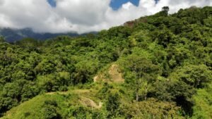 Dan Lancinger Oceanview Property Ojochal 7