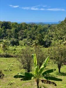 Dan Lancinger Oceanview Property Ojochal 9