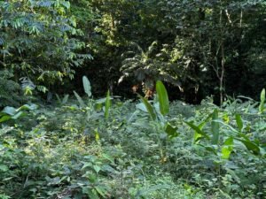 Image 2024-01-24 at 1.39.17 PM