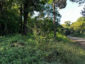 Image 2024-01-24 at 1.39.17 PM (5)