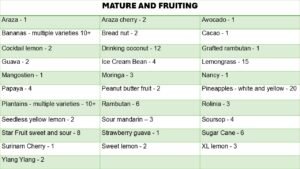 LIST OF FRUIT TREES IMAGE 1