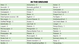 LIST OF FRUIT TREES IMAGE 2
