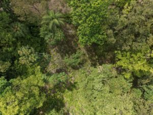 PRIME LOCATION! 2,86 Acres, Ready to Build, Easy Access (1)
