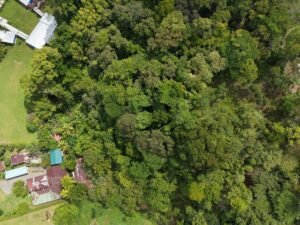 PRIME LOCATION! 2,86 Acres, Ready to Build, Easy Access (12)
