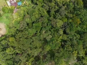 PRIME LOCATION! 2,86 Acres, Ready to Build, Easy Access (13)