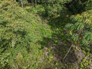 PRIME LOCATION! 2,86 Acres, Ready to Build, Easy Access (14)