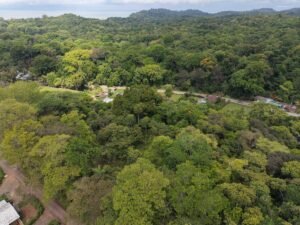 PRIME LOCATION! 2,86 Acres, Ready to Build, Easy Access (17)