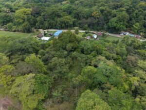 PRIME LOCATION! 2,86 Acres, Ready to Build, Easy Access (18)