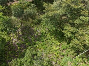PRIME LOCATION! 2,86 Acres, Ready to Build, Easy Access (2)
