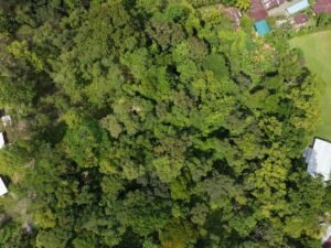 PRIME LOCATION! 2,86 Acres, Ready to Build, Easy Access (3)