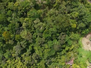 PRIME LOCATION! 2,86 Acres, Ready to Build, Easy Access (4)