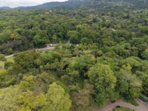 PRIME LOCATION! 2,86 Acres, Ready to Build, Easy Access (6)