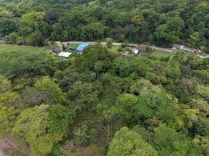 PRIME LOCATION! 2,86 Acres, Ready to Build, Easy Access (7)