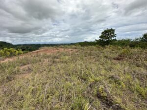 Photo 6-6-24, 12 15 42