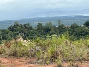 Photo 6-6-24, 12 15 50