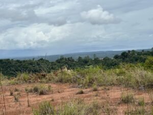 Photo 6-6-24, 12 15 55