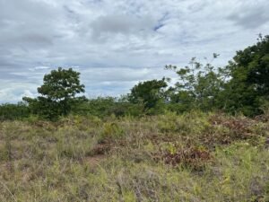 Photo 6-6-24, 12 16 01