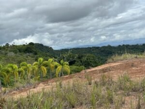 Photo 6-6-24, 12 16 06