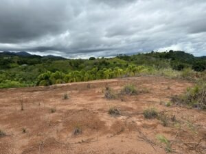 Photo 6-6-24, 12 16 47