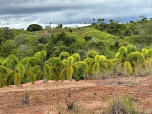 Photo 6-6-24, 12 16 50