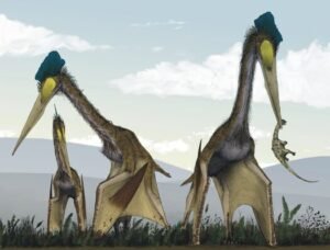 Quetzalcoatlus, a dinosaur named in honour of the Quetzalcōātl.