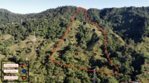 dji_fly_20230124_074438_397_1674567884412_photo_optimized