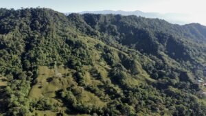 dji_fly_20230124_074616_404_1674567982633_photo_optimized