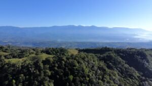 dji_fly_20230124_075022_414_1674568231335_photo_optimized