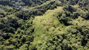 dji_fly_20230124_080632_437_1674569200272_photo_optimized