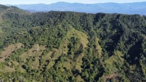 dji_fly_20230124_081202_450_1674569529150_photo_optimized