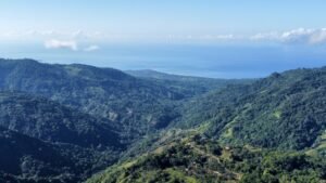 dji_fly_20230124_081244_455_1674569609089_photo_optimized