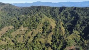 dji_fly_20230124_081330_459_1674569621817_photo_optimized