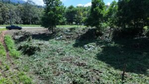 dji_fly_20230930_090034_0122_1696086871377_photo