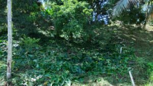 dji_fly_20230930_090338_0123_1696086876480_photo